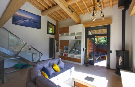 Chalet Mountain Vibes